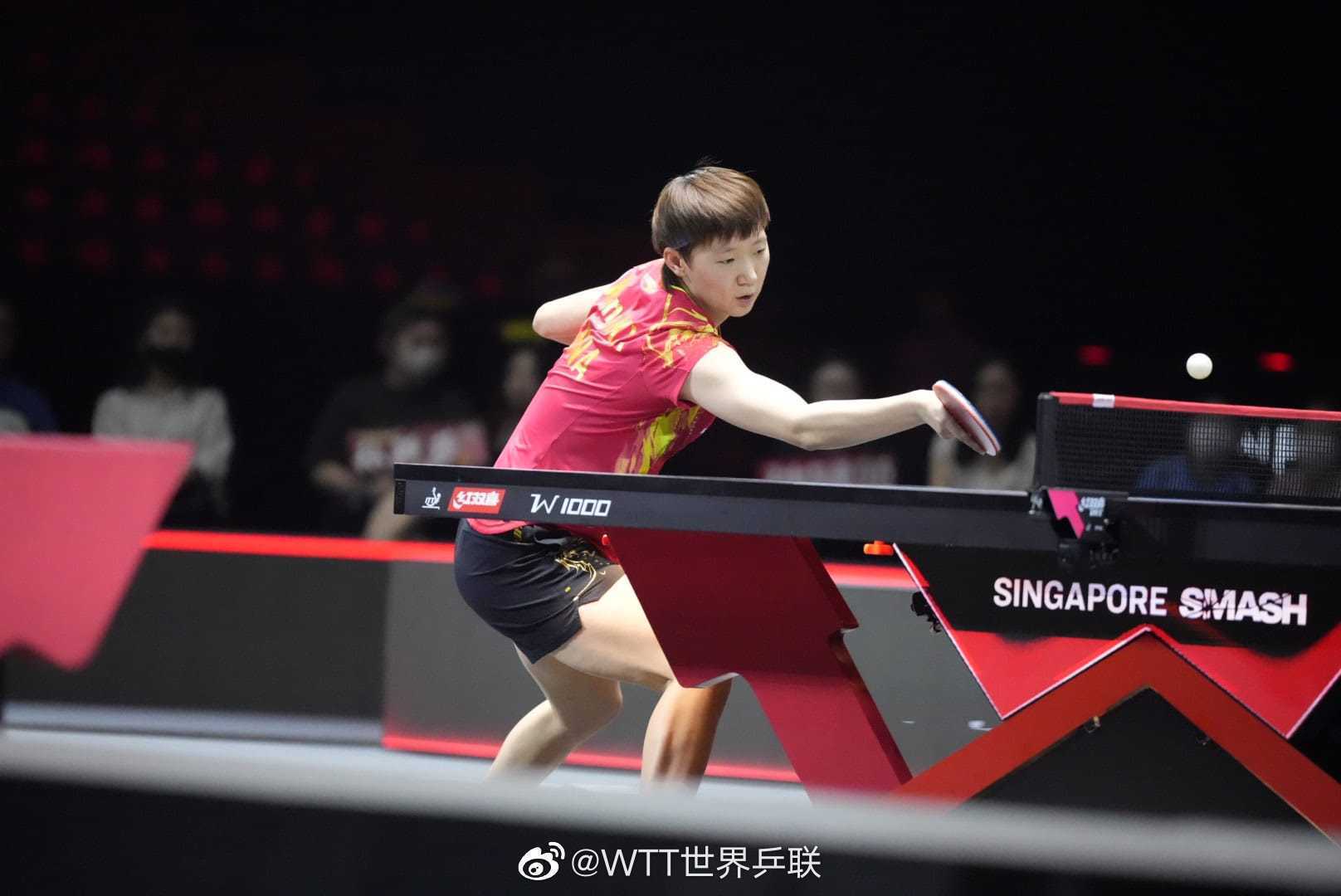  nba塔图姆集锦2024最新版本 